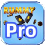 Rummy Pro